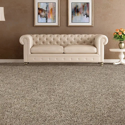 Budget Flooring & Shutters provides easy stain-resistant pet proof carpet in Las Vegas, NV
